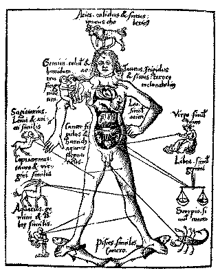 Tierkreismann von 1503